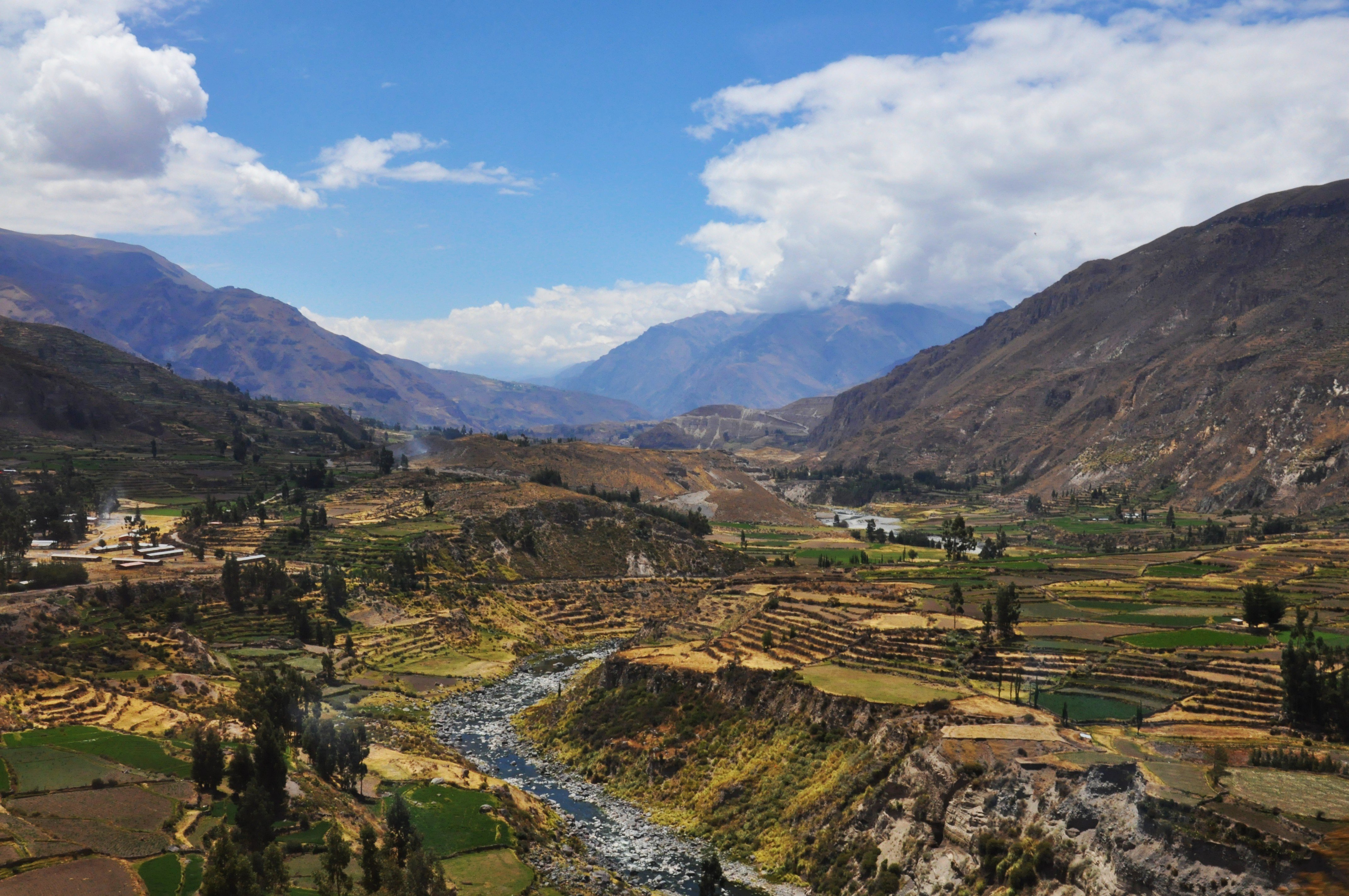 Arequipa-Colca39