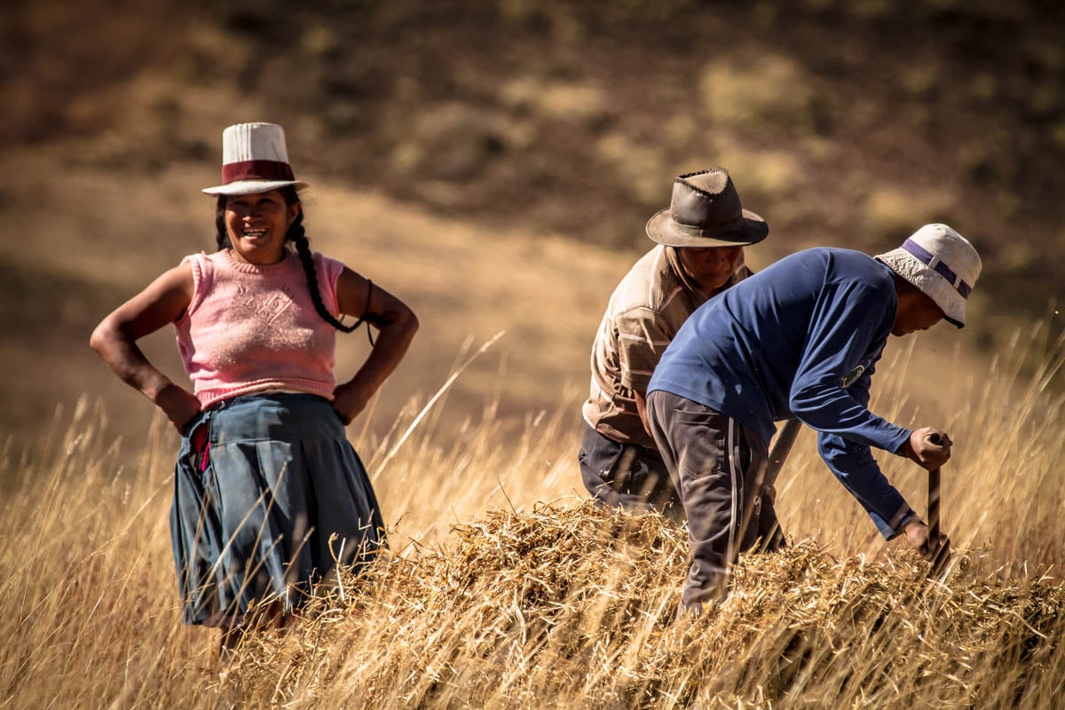 Camino Chinchero-Valle Urubamba 05